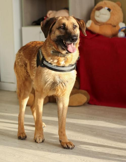 Джаббар Б131